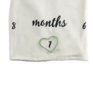 Baby Milestone Blanket NWT
